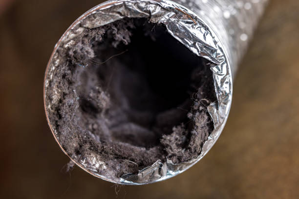 Best Emergency Air Duct Cleaning  in Wolverine Lake, MI